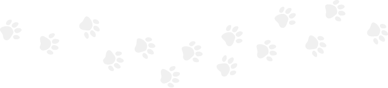 paw-prints