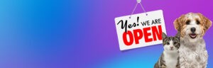 yes-we-are-open-banner