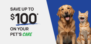 011326-Email-Dental-Campaign-T3_100off_Dog_Cat_HERO